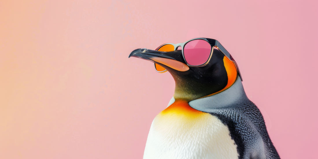 sürüsünden ayrılıp yalnız yürüyen penguen