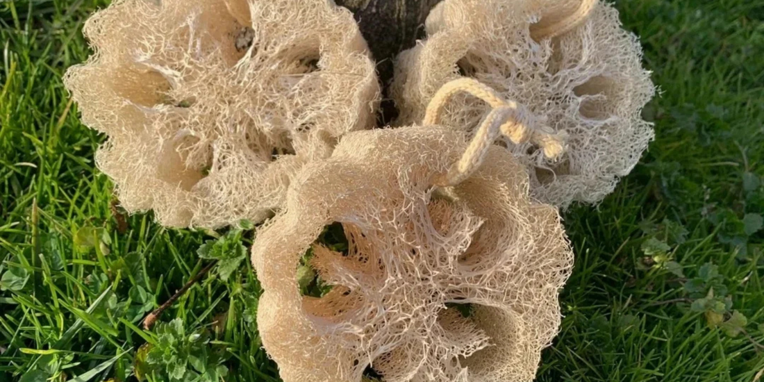 doğal kabak lifi sünger ile çevre dostu mutfak temizliği